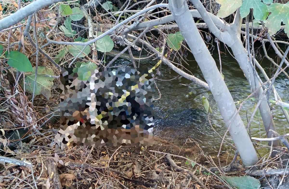Muğla'da Nişan Giden Kişinin Cesedi Su Arığında Bulundu