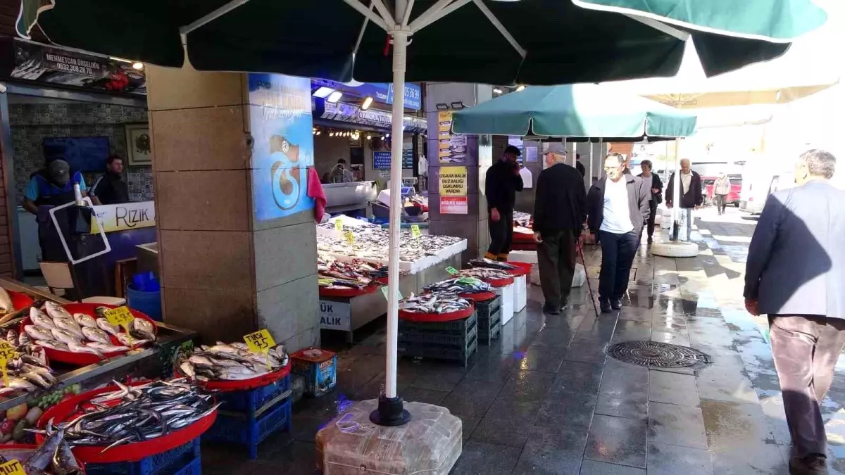 Hamsi Fiyatları Artıyor