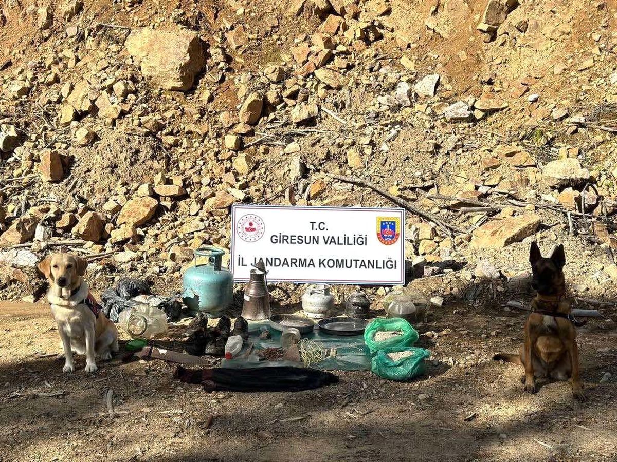 Giresun'da terör örgütüne ait sığınak bulundu