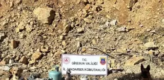 Giresun'da terör örgütünün kullandığı sığınak bulundu