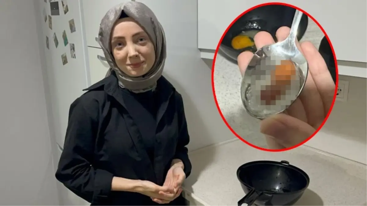 Marketten alınan yumurtadan civciv embriyosu çıktı