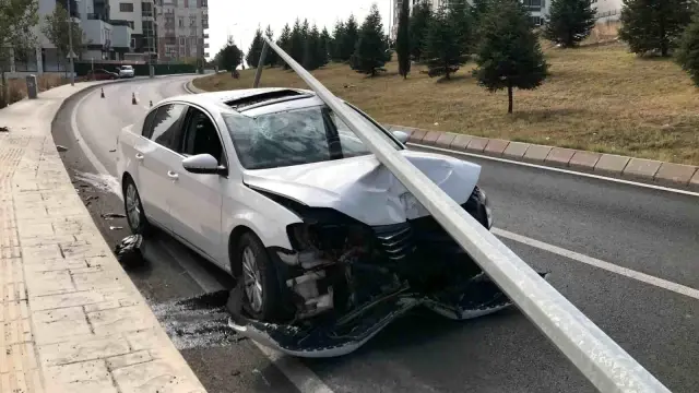 Sivrisinek kazaya sebep oldu