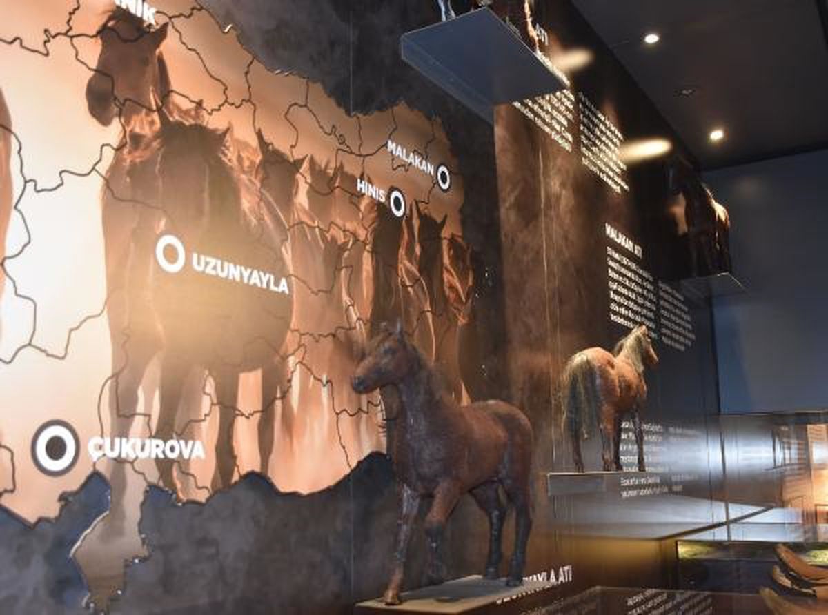 Sivas'ta Osmanlı dönemine ait savaş atları müzesi açıldı