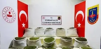 Diyarbakır'da 1 ton 354 kilo esrar ile 122 bin kök Hint keneviri ve skunk ele geçirildi