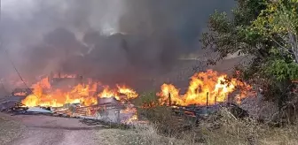 Kastamonu'da bir köyde çıkan yangında 40 ev ve ahır küle döndü