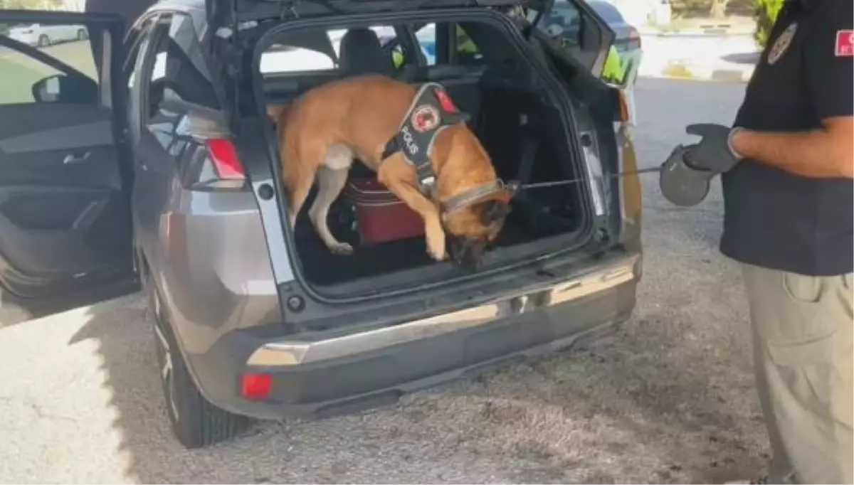 Osmaniye'de Otomobilde 10 Kilo Skunk Ele Geçirildi