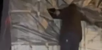 Başakşehir'de durdurulan kamyonun kasasından 517 kaçak göçmen çıktı