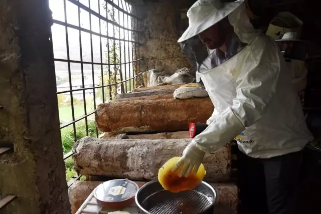 Dünyaca ünlü Bitlis karakovan balının hasadına başlandı