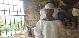 Bitlis Balı, Londra'da Altın Bal Yarışmasında Başarı Yakaladı