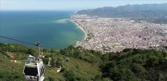 Ordu hangi bölgede, ilçeleri neler? Ordu plaka kodu nedir? Ordu meşhur özellikleri neler?