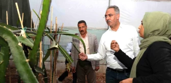 Eyyübiye Belediye Başkanı Mehmet Kuş, Sera Kentini Büyüteceklerini Açıkladı
