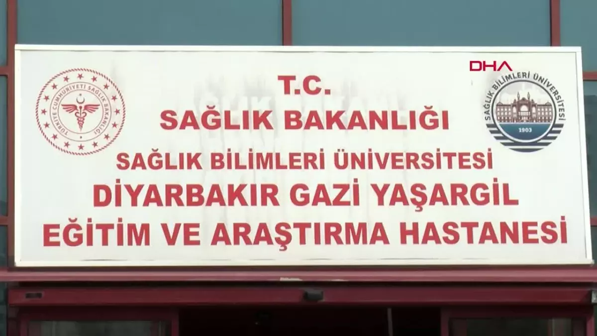 DİYARBAKIR, ŞIRNAK, SİİRT VE MARDİN'DE SAĞLIK-SEN'DEN İSRAİL PROTESTOSU