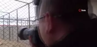 Tedavilere tamamlanan yırtıcı kuşları doğaya protokol üyeleri saldı