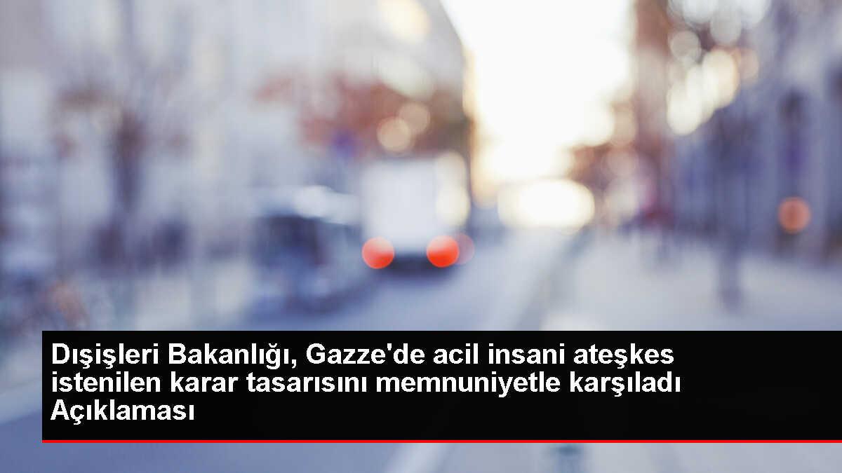 Dışişleri Bakanlığı BM Genel Kurulu kararını yeterli bulmadı