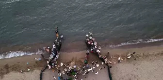 Muğla'da Tedavi Edilen Deniz Kaplumbağaları Denize Bırakıldı