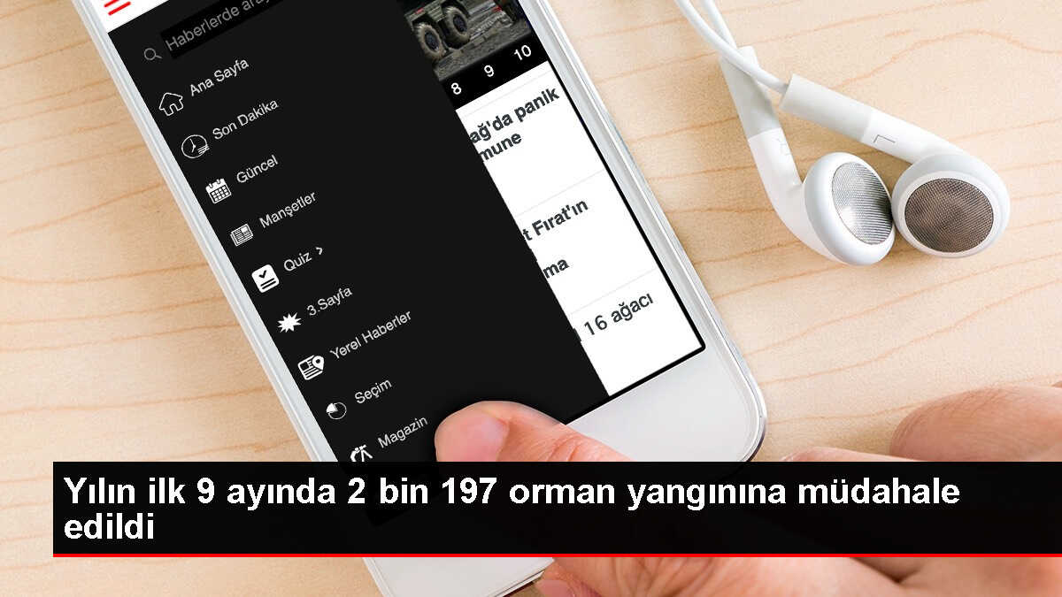 Türkiye'de Bu Yıl 2 Bin 197 Orman Yangınına Müdahale Edildi