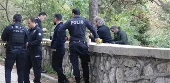 Çocuk parkında korkunç manzara! Ağaca asılı kadın cesedi buldular