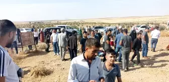 Şanlıurfa'da minibüs ile otomobil çarpıştı: 7 yaralı