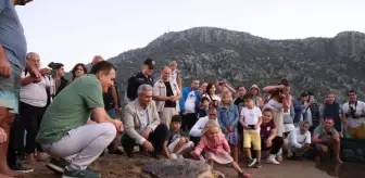 İztuzu Plajı'ndaki Deniz Kaplumbağaları Tedavi Edildi