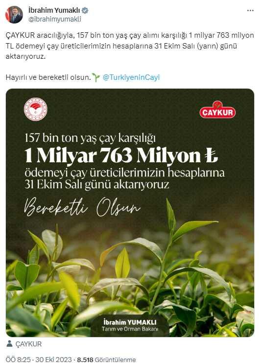 1.7 milyar liralık ödeme yarın çay üreticilerinin hesaplarına yatırılacak