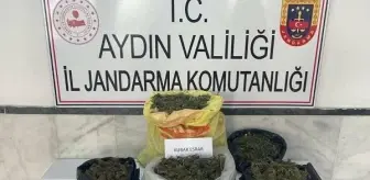 Aydın'da Uyuşturucu Operasyonunda 49 Şüpheli Gözaltına Alındı