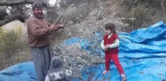 Yağmur Girgin, elektrik akımına kapılarak hayatını kaybetti