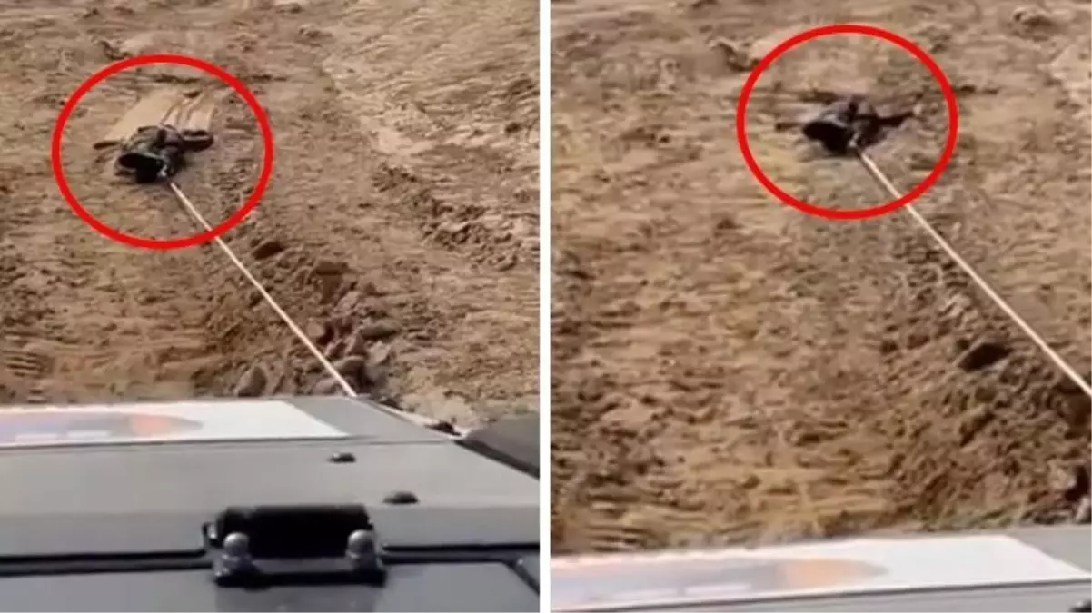 Görüntüler kan donduruyor! Öldürdükleri Filistinlinin cesedini araca bağlayıp böyle sürüklediler