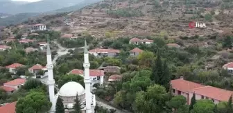 İzmir Aliağa'da Nar Ekşisi Üretimi Yoğunlaşıyor