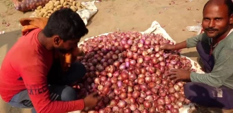 Hindistan'da Soğan Fiyatlarındaki Artışa Karşı İhracat Kısıtlaması