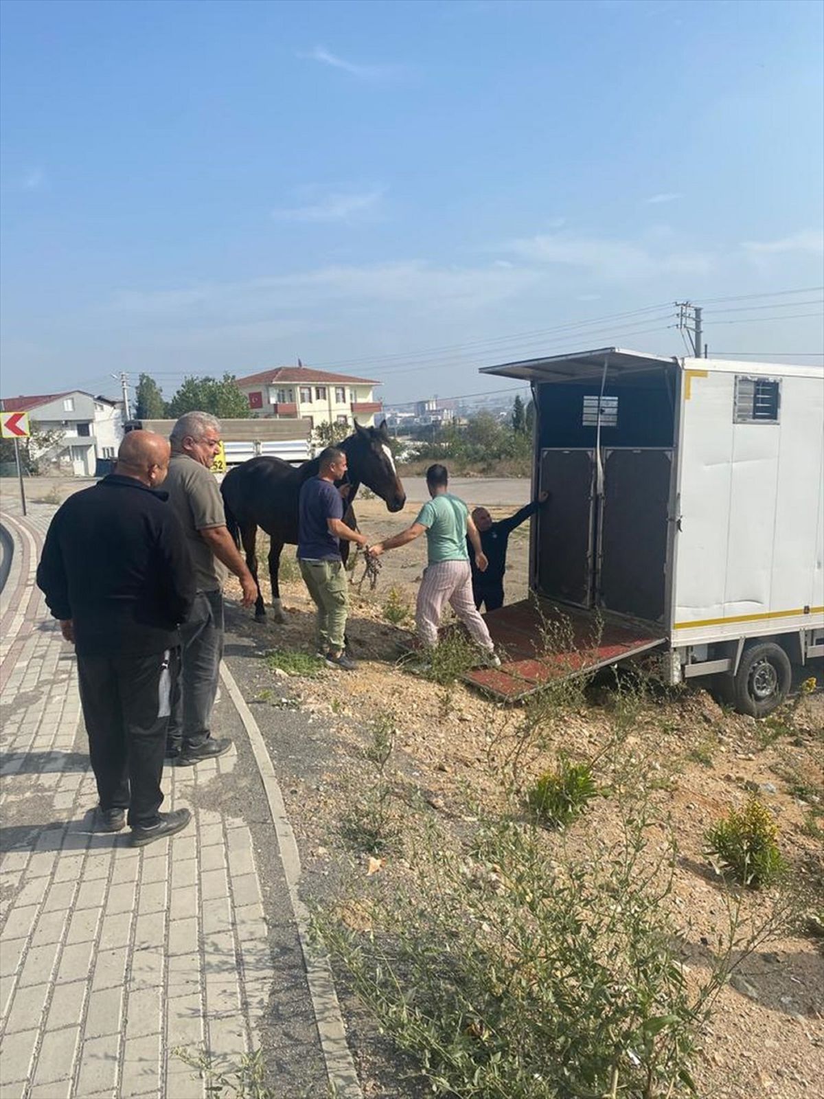 Çayırova'da başıboş at sahibine teslim edildi