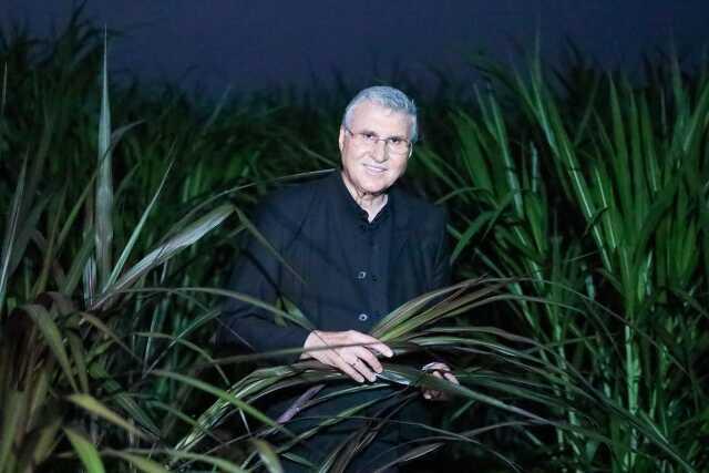 Sakarya'da Yem Maliyetini %50 Azaltacak Bitki 'Pakong' Üretimi Başlandı