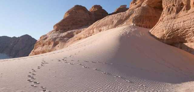 Sina Çölü nerede, nasıl gidilir? Sina Çölü hangi ülkeye aittir?
