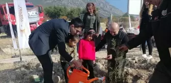 Kargı'da anaokulu öğrencileri fidan dikti