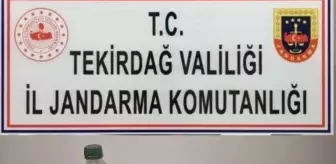 Tekirdağ'da 60 Bin Makaron Ele Geçirildi, 1 Şüpheli Gözaltına Alındı