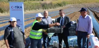 TİKA, Kuzey Makedonya'daki çilek yetiştiricilerine tarım ekipmanı ve fide desteği sağladı