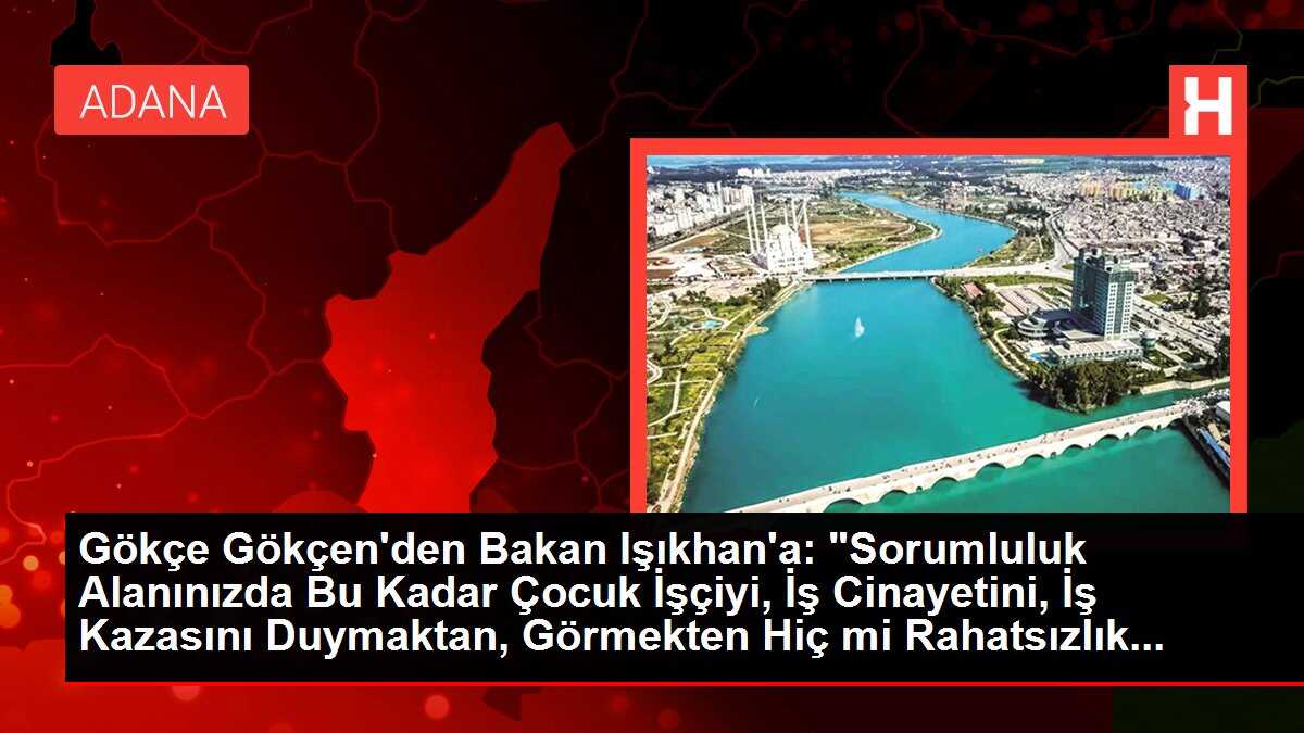 Gökçe Gökçen'den Bakan Işıkhan'a: 'Sorumluluk Alanınızda Bu Kadar Çocuk İşçiyi, İş Cinayetini, İş Kazasını Duymaktan, Görmekten Hiç mi Rahatsızlık...