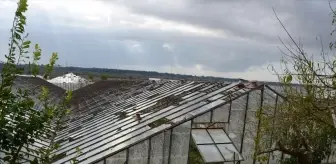 Antalya'nın Serik ilçesinde dolu nedeniyle cam sera ve ürünlerde zarar oluştu