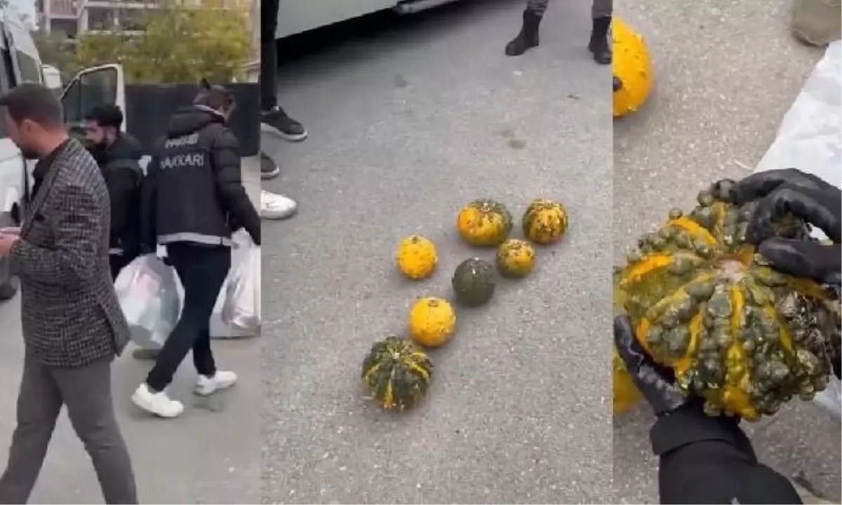 Hakkari'de Bal Kabağı İçerisine Gizlenmiş Metamfetamin Ele Geçirildi