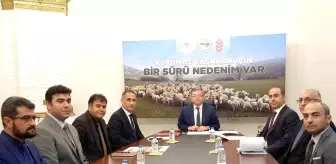 Kars'ta Küçükbaş Hayvancılık Projesi Uzatıldı