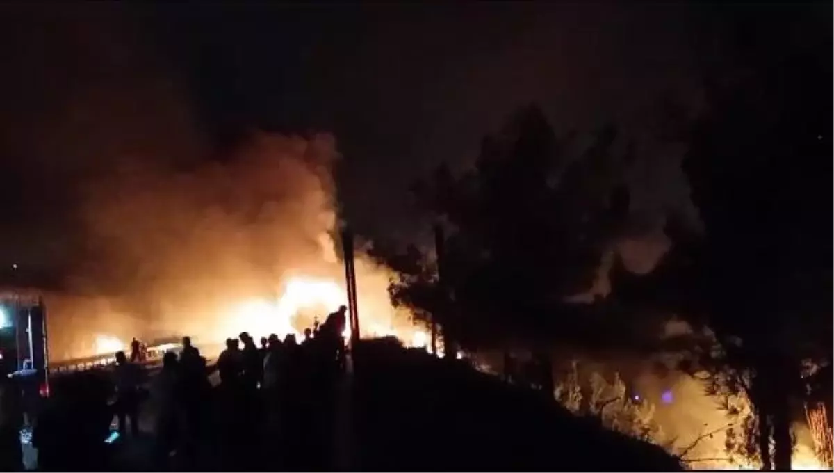 Hatay'da TIR Yangını Ormana Sıçradı
