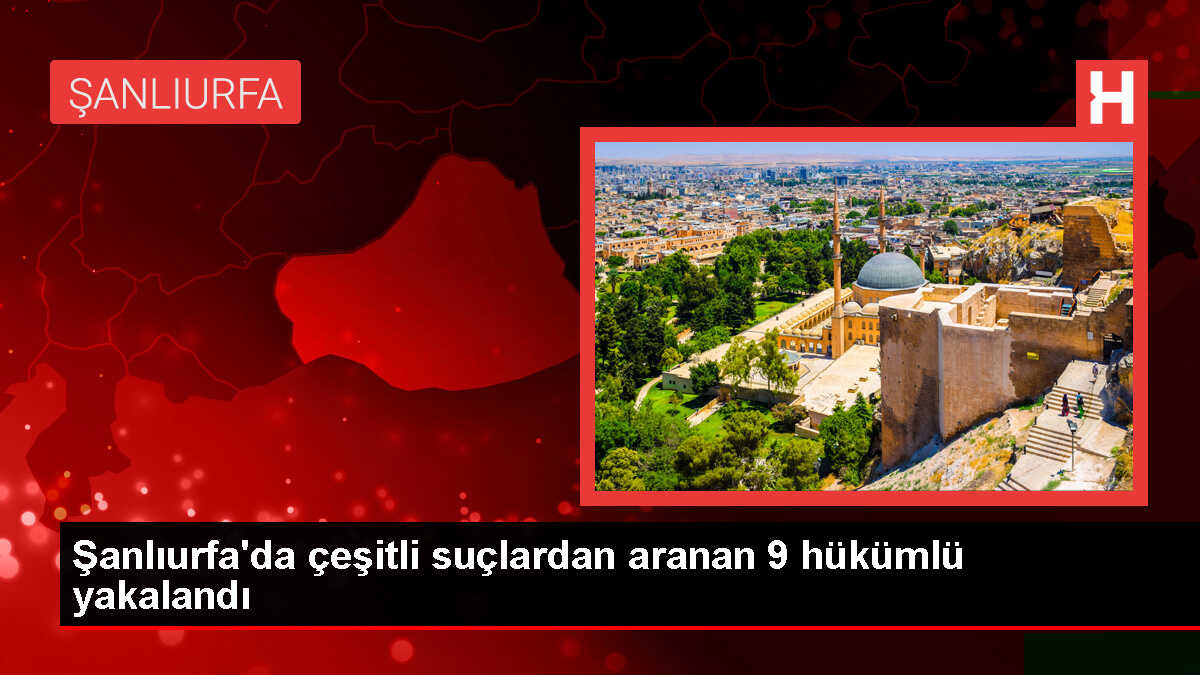 Şanlıurfa'da 9 hükümlü yakalandı