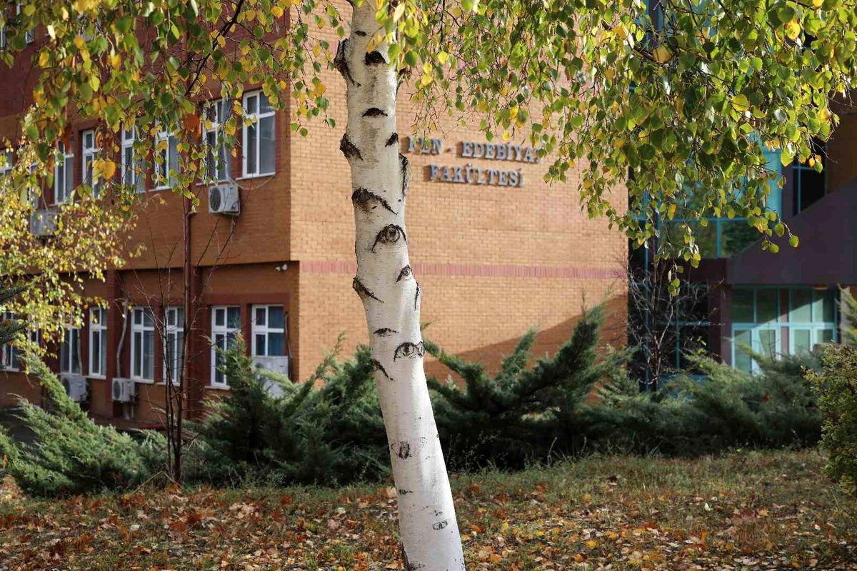 Tokat Gaziosmanpaşa Üniversitesi Kampüsündeki Ağaç Sosyal Medyanın İlgi Odağı Oldu