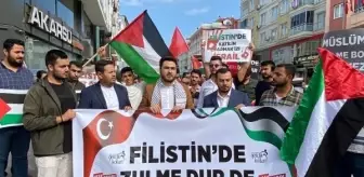 AK Parti Osmaniye İl Gençlik Kolları Filistin'e Destek Yürüyüşü Düzenledi