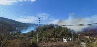Muğla'da orman yangını