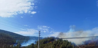 Muğla'da Orman Yangını Kontrol Altına Alınmaya Çalışılıyor