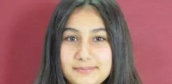 Muğla'da yaya geçidinde yaşanan kaza mahkemeye taşındı