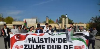 Van, Hakkari, Muş ve Bitlis'te İsrail'in Gazze'ye yönelik saldırıları protesto edildi