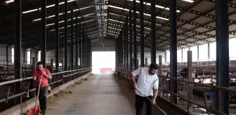 Bursa'da Kardeşlerin Ucuz ve Doğal Et Üretimi