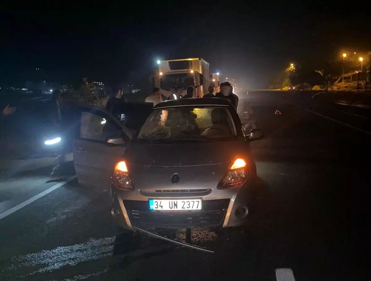 Adıyaman'da Otomobilin Eşeğe Çarpması Sonucu 3 Kişi Yaralandı