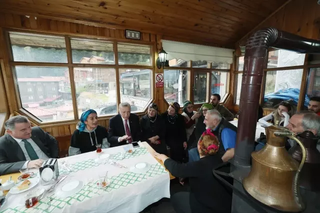 Cumhurbaşkanı Erdoğan, Ayder Yaylası'nda incelemelerde bulundu Cumhurbaşkanı Erdoğan, Ayder Yaylası'nda incelemelerde bulundu